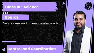 Design an experiment to demonstrate hydrotropism [upl. by Tatia]