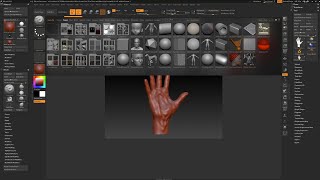 Getting Started with ZBrush Part 8  Starting a New Project [upl. by Ivory]