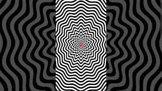 Legends of Illusion The Ultimate Mind Trap illusion opticalillusion amazingfacts [upl. by Mirabel479]