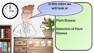 GCSE Biology Detection and Identification of Plant Diseases Revision [upl. by Iggam86]