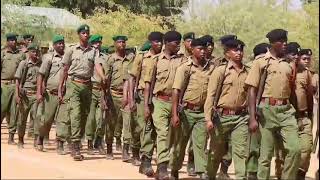 Best mashujaa day parade mandera Kenya [upl. by Aekerly]