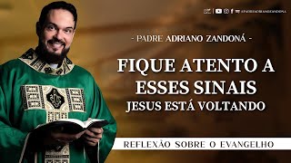 Homilia Diária  Liturgia de Hoje Palavra do Dia  Padre Adriano Zandoná [upl. by Auqinet424]