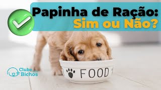 ⛔ Papinha Para Cachorro Recém Nascido  Pode Ser Ração De Filhotes [upl. by Berty]