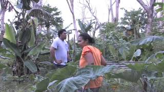 THE PACIFIC WAY STORY  MORDI Tonga Innovative Rural Development [upl. by Heddy]