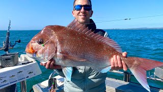 BIG 7KG SNAPPER fishing Westernport Bay MELBOURNE September 2024 [upl. by Eiwoh]