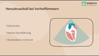 Wie funktioniert ein Herzultraschall Arzt erklärt [upl. by Shurwood261]