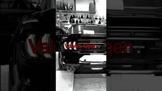 2019 Mustang GT  XForce Varex AxleBack Sound Clip [upl. by Naivat]