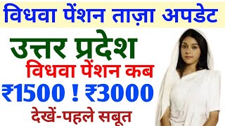 vidhwa pension kab aayegi up vidhwa pension kab aayegi  up vidhwa pension kab milegi pension [upl. by Enytnoel]