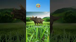 Triceratops Song for Kids  Fun Dinosaur Facts amp Rhymes dinosaur dinosaursforkids dinosaurnames [upl. by Yelnik]