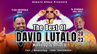 The Best Of DAVID LUTALO Mix  Dj SeniorB From KAPAPAALA 2008 To BYONKOLA July 2023 All In One [upl. by Nertie]