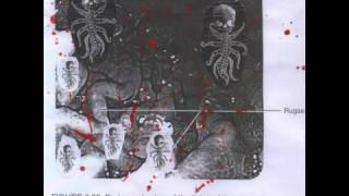 Bowel Fetus  Bloodsoaked Doomageddon Full [upl. by Helgeson726]