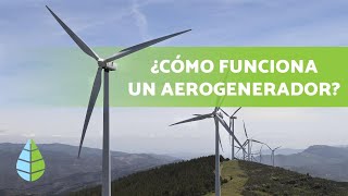 ¿Cómo funciona la ENERGÍA EÓLICA 💨⚡  Tipos de AEROGENERADORES [upl. by Liv]