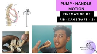 KINEMATICS OF RIB CAGE  PUMP HANDLE MOTION BIOMECHANICS OF THORAX Physiotherapy Tutorial [upl. by Lombard806]