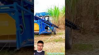 Smart Sugarcane Harvesting with Advanced Machinery  SON ASMR [upl. by Georgetta]