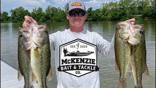 Weiss Lake AL Bass Tournament Win May 2024 [upl. by Nairot946]