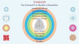 THE SCIENCE of YOGA PARINAMA  The Results of Psychophysiology of Patanjali Yogasutras  DIVYANK [upl. by Nosyt]