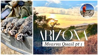 Arizona Mearns QuailTheyre GONE Part 1 [upl. by Rani]