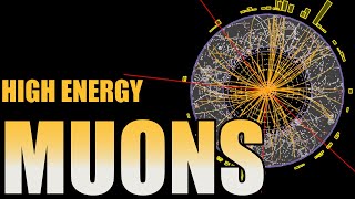 Muons Super Electrons [upl. by Etnomed]