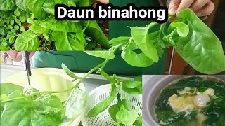 RESEP KUAH DAUN BINAHONG  CARA MASAK DAUN BINAHONG  DAUN BINAHONG [upl. by Budding]