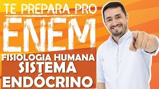 FISIOLOGIA HUMANA  SISTEMA ENDÓCRINO  CANALDOHENAC [upl. by Edlihtam]