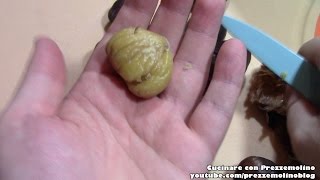 Come sbucciare le Castagne e Marroni in 5 minuti  Video Tutorial How to peel chestnuts [upl. by Lemhar]