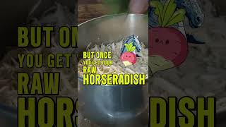 Extra Hot Horseradish Sauce with Fire Cider  Ranch Spotlights [upl. by Aaren]