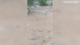 Flooding on Arizona Grand Golf Course [upl. by Gustie]