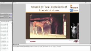 Understanding Horse Body Language [upl. by Boehike]