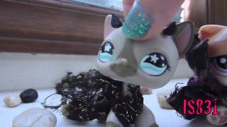 LPS Fire amp Ice Episode 6 Finding the Balance SERIES FINALE [upl. by Veronika226]