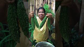 Bitter Gourd Masala Curry ♥️ Healthy Village Food [upl. by Ervine681]