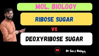 Ribose Sugar vs Deoxyribose SugarBiology Dr Sams Biologyl [upl. by Aeriela700]