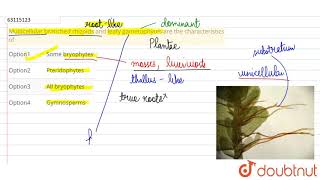 Multicellular branched rhizoids and leafy gametophytes are the characteristics of [upl. by Banerjee955]