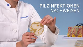 Hautpilz erkennen  So funktionert der Nachweis │Dr med Alice Martin [upl. by Vastha858]