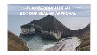 Exploring Flamborough Head so many Seals [upl. by Htiaf]