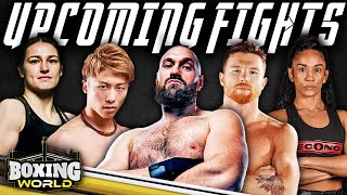 Fury Canelo Taylor Inoue amp More  BEST Upcoming Fights in Boxing  Feature amp Highlights [upl. by Nedroj]