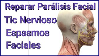 LA SOLUCIÓN A LA PARÁLISIS FACIAL CALAMBRES O ESPASMOS FACIALES TICS NERVIOSOS CAUSAS REALES [upl. by Gavrilla]