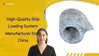 HighQuality Ship Loading System Manufacturer from China [upl. by Azarria]