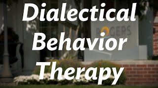 Rogers therapist gives an overview of Dialectical Behavior Therapy DBT [upl. by Licastro108]