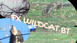 FX WILDCAT BT 700 SNIPER HUNTING PEST [upl. by Einhpad]