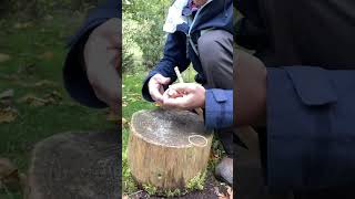 Steinschleuder basteln victorinox diy wood nature funny basteln tipps shorts survival [upl. by Galanti]