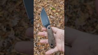 Kizer Hare Fixed Blade shorts youtubeshorts knives [upl. by Yraht]