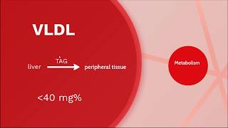 Lipoprotein • VLDL metabolism  Biochemistry [upl. by Prober242]