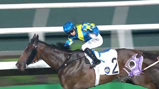 202324 111  Jubilation 慶萬家  楊明綸 轉馬房即勝 [upl. by Ilzel]