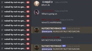 Nuking Nerdy Potatos discord server 1000 members [upl. by Willner517]