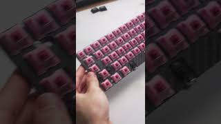 Envoy Keyboard Build ASMR [upl. by Notyrb]