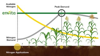 The Science Behind Envita [upl. by Avera]