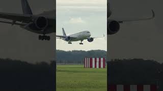 AIRBUS A350 CORENDON AIRLINES WILLEMSTAD TO AMSTERDAM LANDING SCHIPHOL  PLANE SPOTTING  ECNZF [upl. by Reld90]