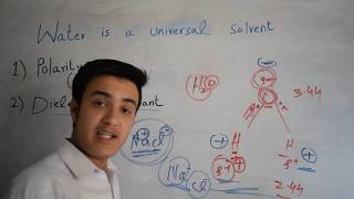 Why Water is Universal Solvent [upl. by Encratia]