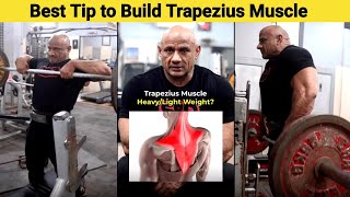 Best Tip to Build Trapezius Muscle  Best exercises for Trapezius Muscle youtubevideos [upl. by Ahscrop]