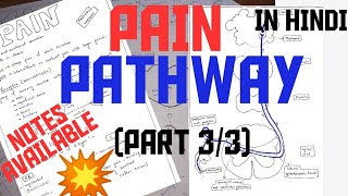 PAIN PATHWAY  PART 33  PROCESS OF PAIN PHYSIOLOGY  TRANSDUCTION  TRANSMISSION  PERCEPTION [upl. by Sower839]